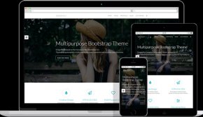 Dragonfly business responsive theme