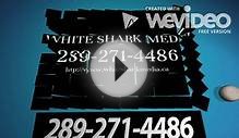 St. Catharines – Web Design Services | White Shark Media