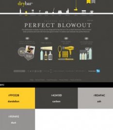 Website color schemes - Drybar
