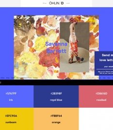Website Color Schemes - oHLIN-D