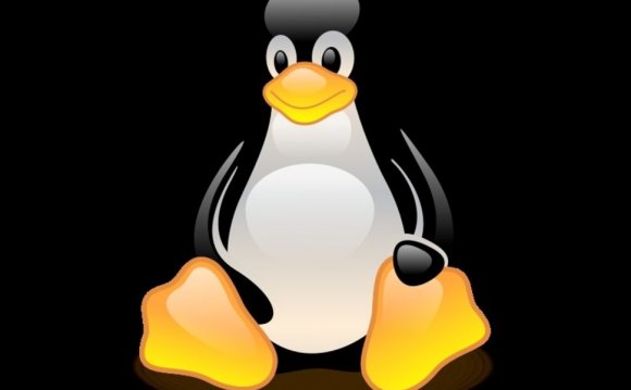 Linux Web Page design