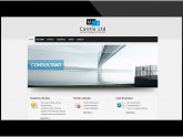 Business Website Design