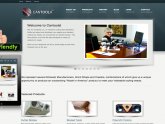 Company, Website design