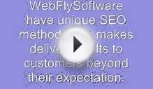 Best SEO Services India | Web Design Company - Webfly Software