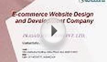 Ecommerce Website Design and Development Company Delhi - India