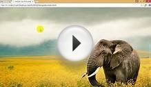 How to create Template Layout Responsive Web Design Class 6